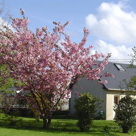 Gite Paul Et Rosalia Manneville-la-Raoult Exteriör bild